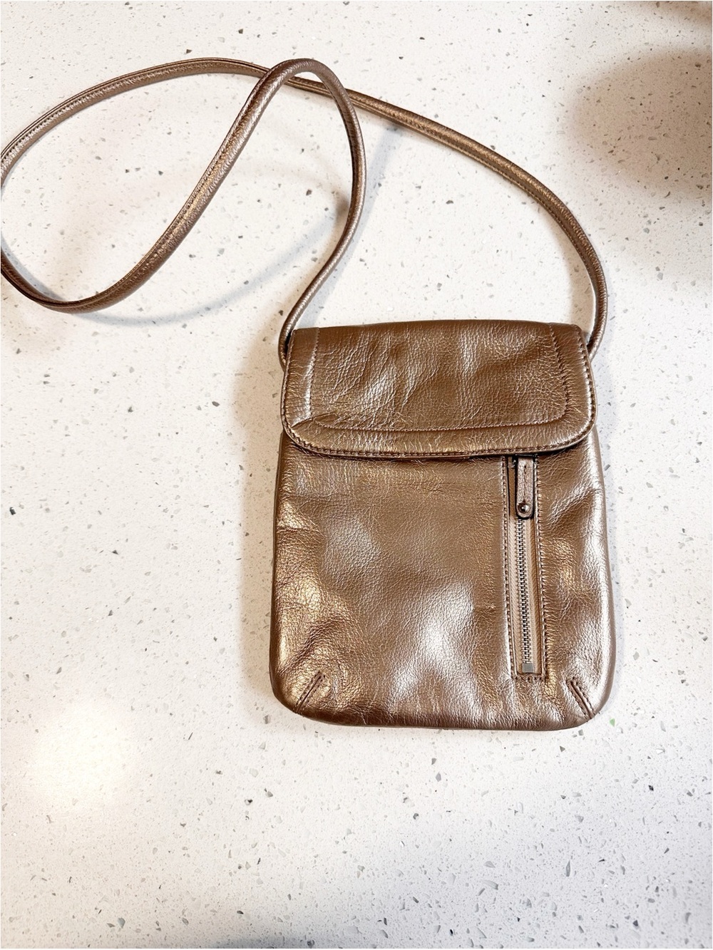 Tignanello Silver Metallic Leather Crossbody Bag Small Flap Zip Pocket Messenger